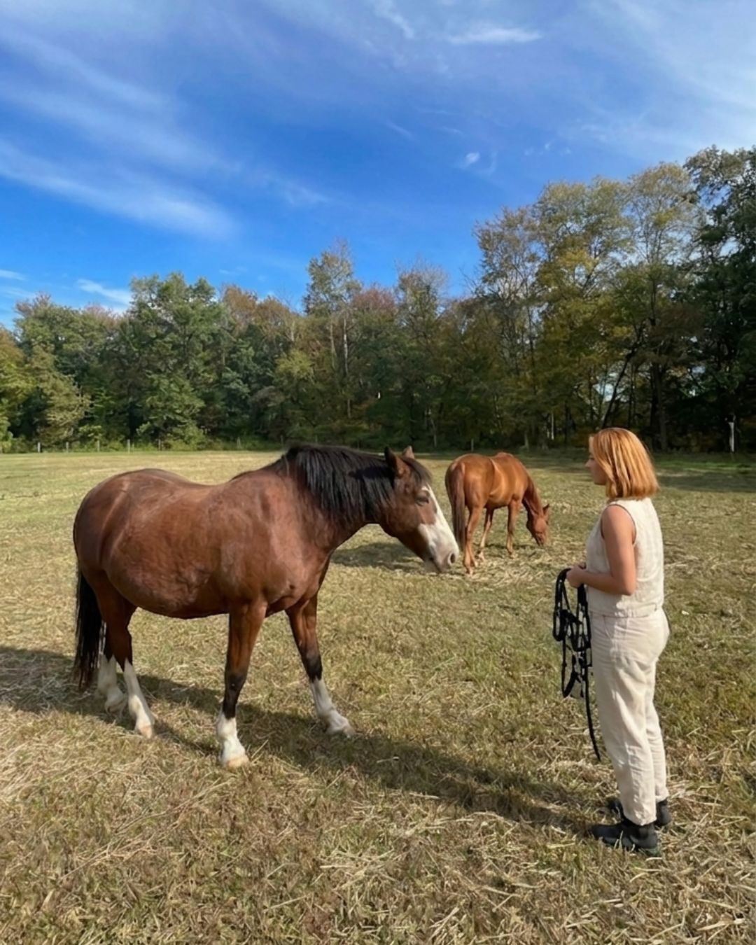 A woman standing facing a horse in a pasture